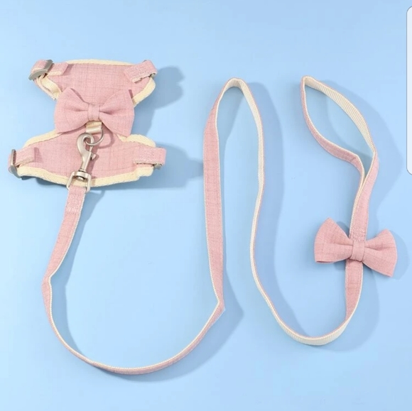 Harness and leash - Picture 5 of 6